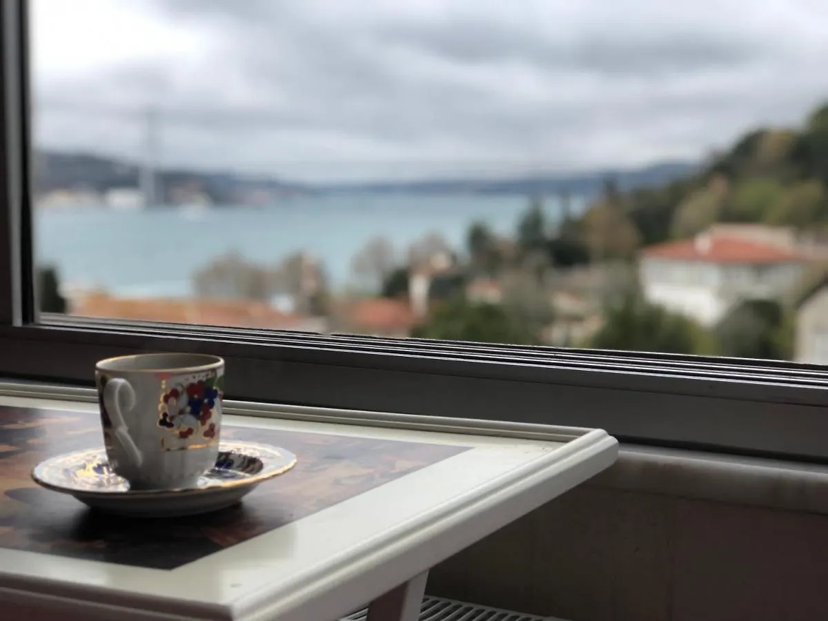 Istanbul Bosphorus House Apartment